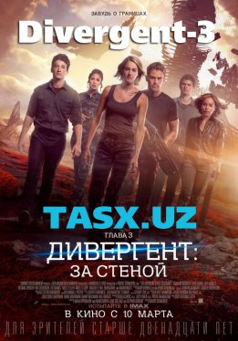 Дивергент, глава 3: За стеной Allegiant